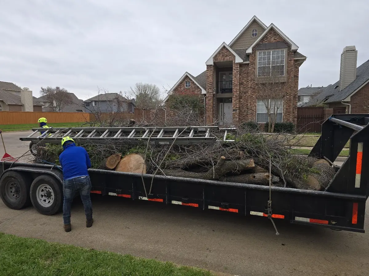 Expert Lot Clearing with proper safety equipment in Sterling Heights